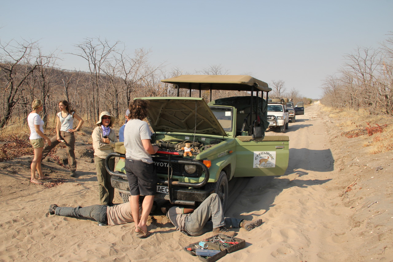 Beraptu helps out with car repairs on the way to Chobe National Park , Botswana