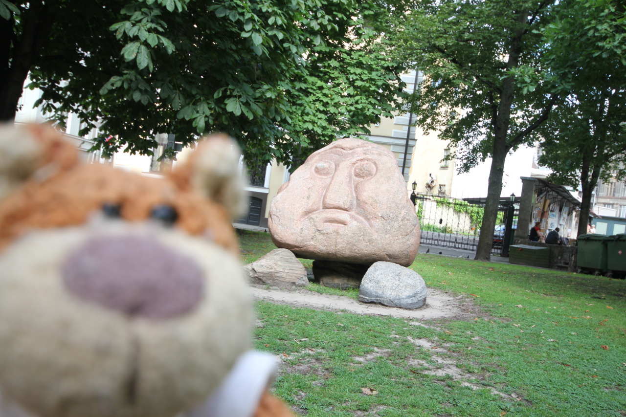 Bearaptu spotted a wild Goomba in Riga