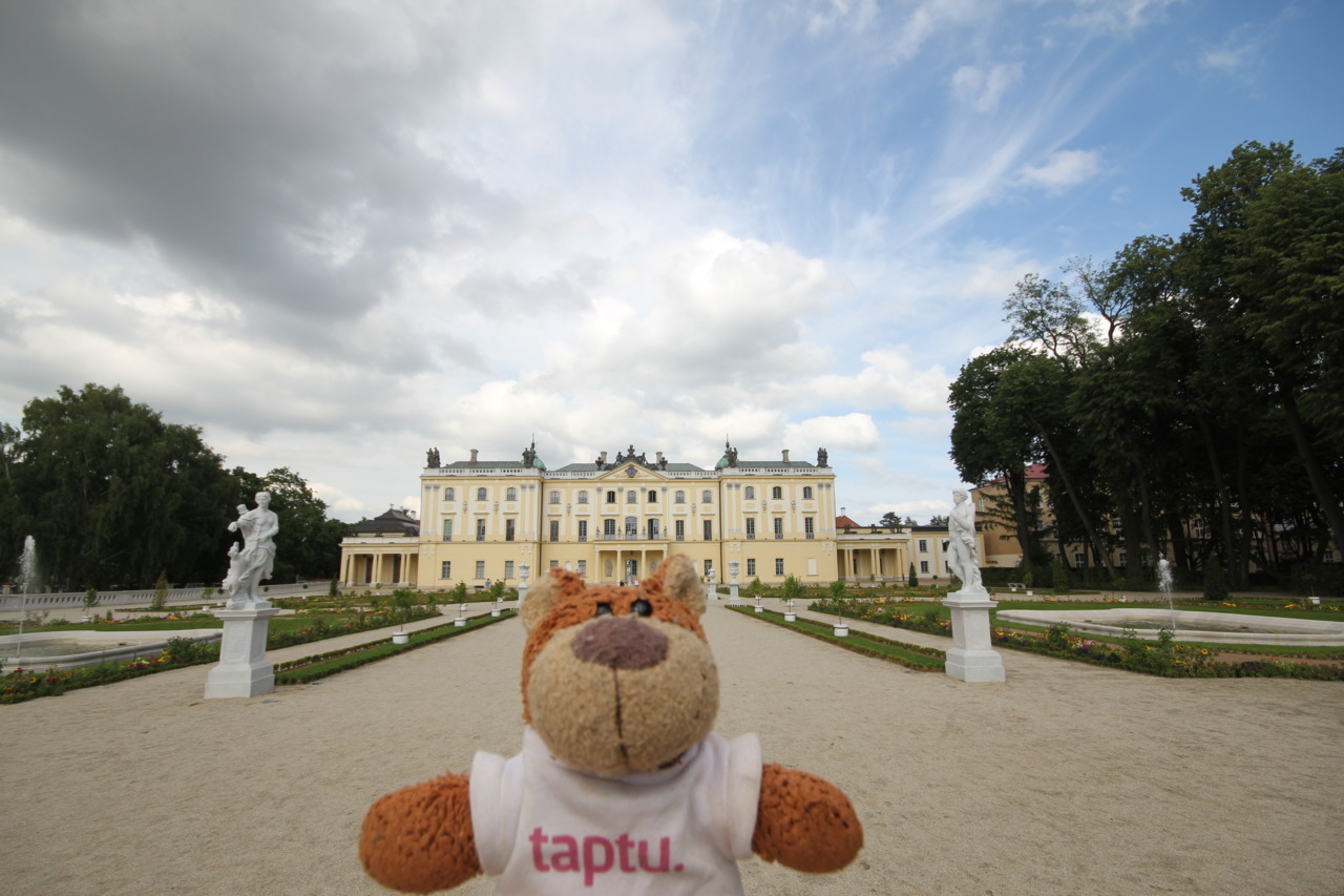 Bearaptu looking at the Branicki_Palace in Białystok