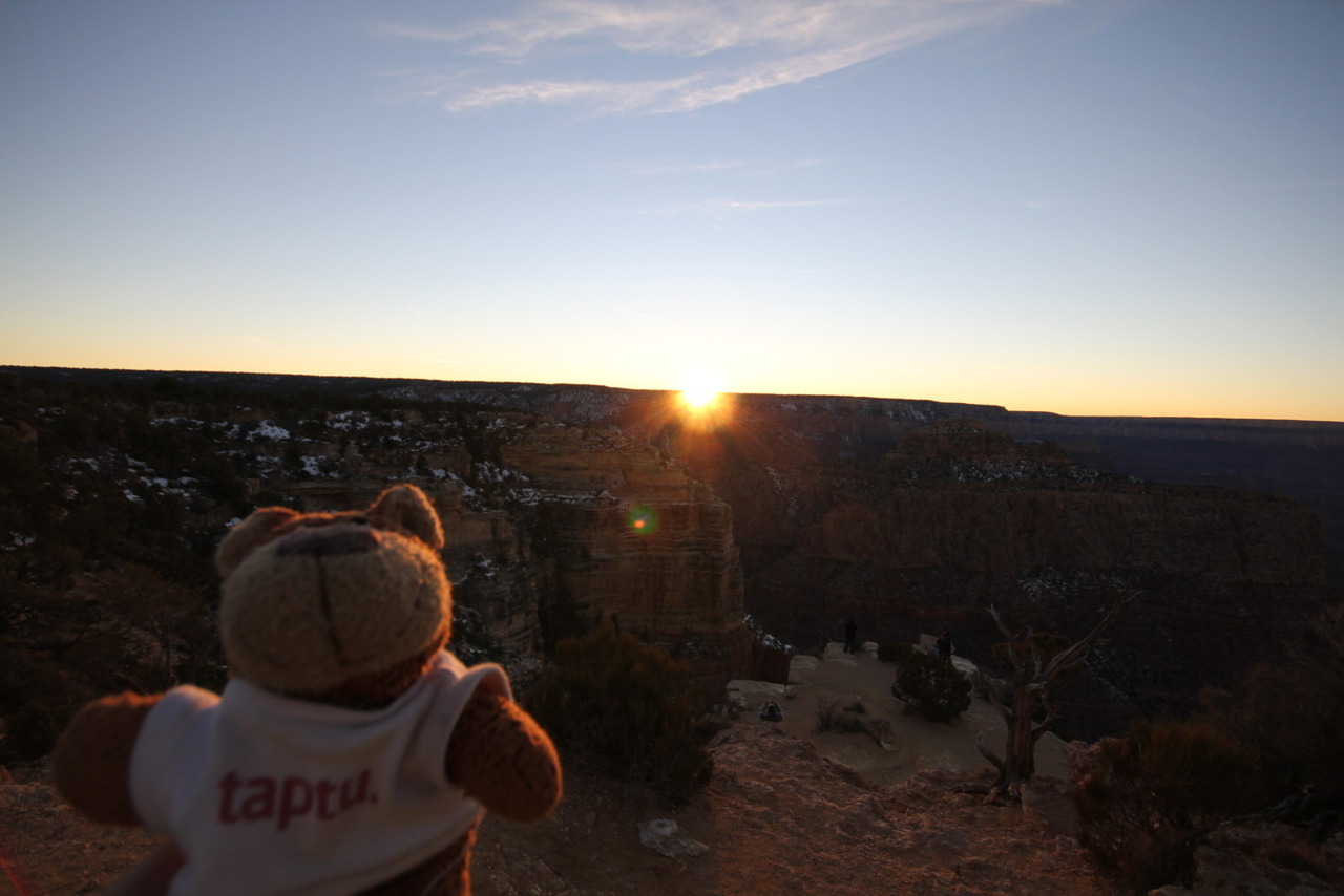 Bearaptu watches the sunset at the Grand Canyon