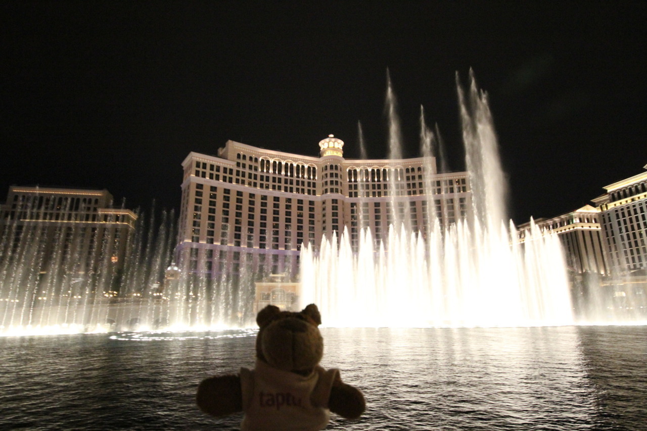 Bearaptu stole all the money from the Bellagio just to prove a point, but he put it back before anyone noticed.