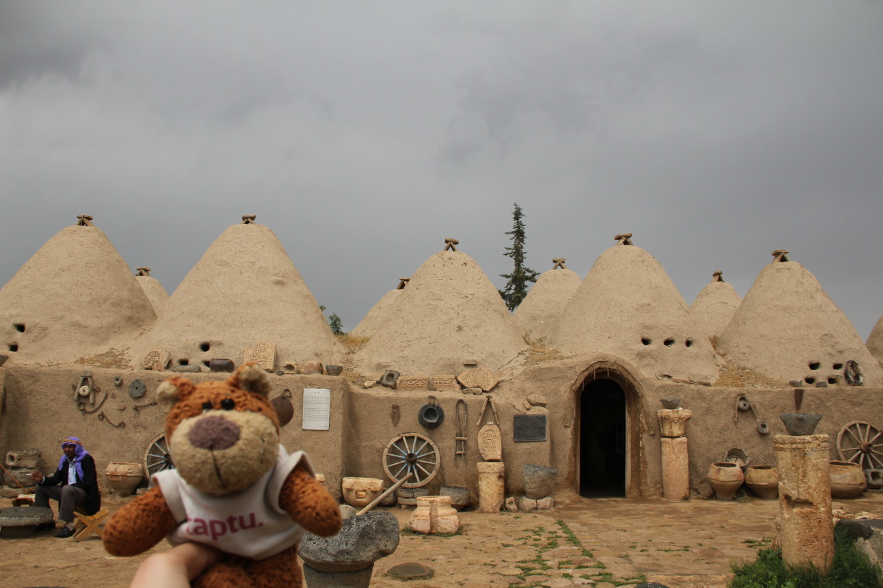 Bearaptu was dismayed to find the Beehive houses of Harran were not filled with honey or bees.