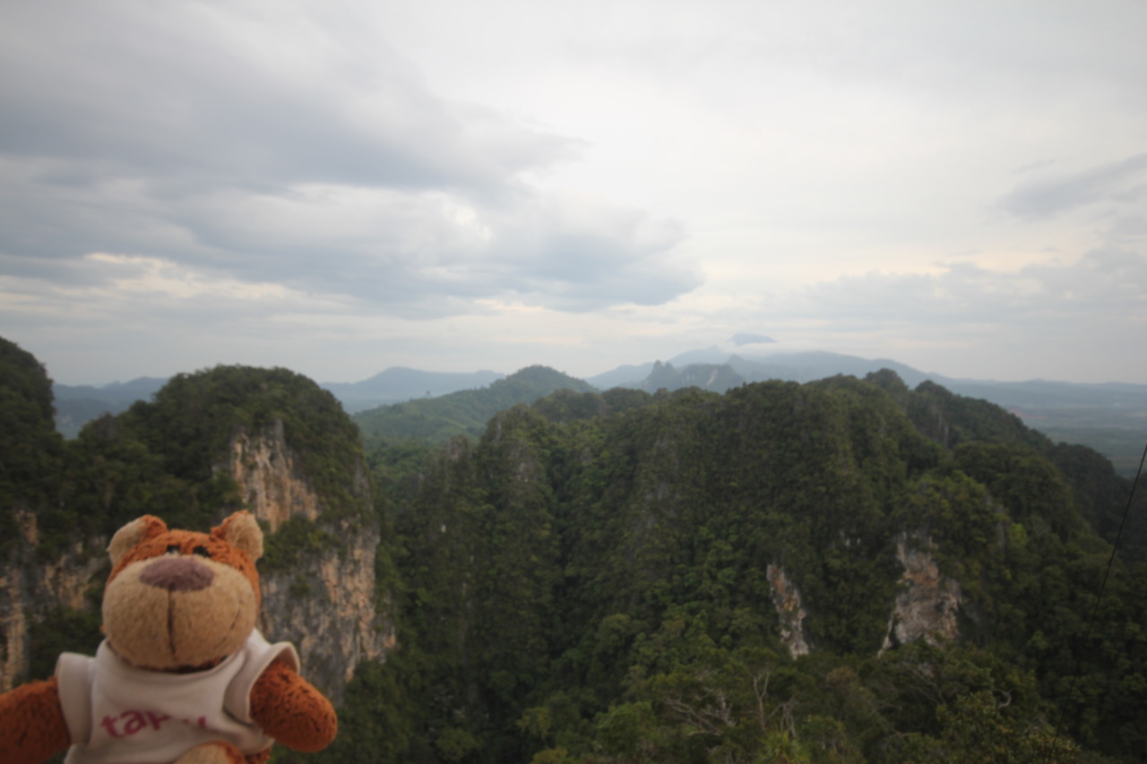 Bearaptu looking at the mountains near Tiger Cave Temple after climbing 1500 steps. He carried me.
