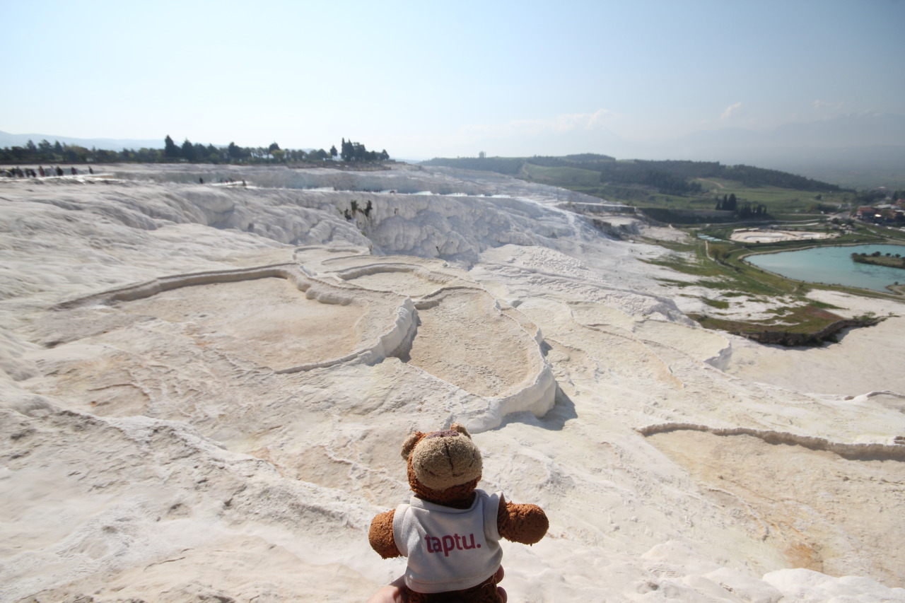 Bearaptu visits the famous blue waters of Pamukkale , but then he was thirsty so he drank all the water. He said it tasted white.