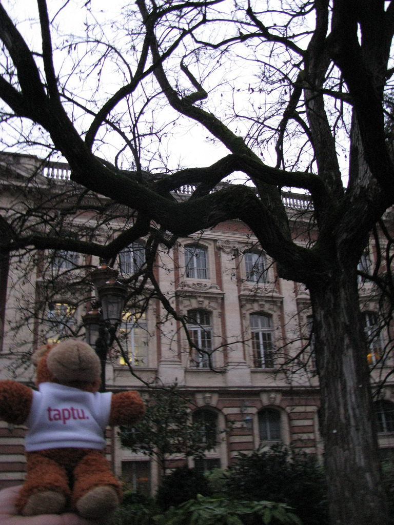 Bearaptu at the *mumblemumble* This is Bearaptu outside the thing building in Tolouse. As you can see, it’s pink .