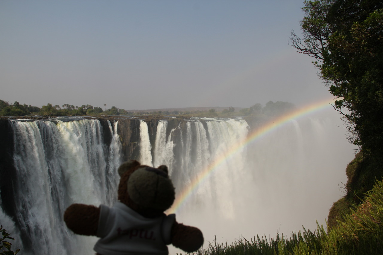 Bearaptu is so happy at seeing Victoria Falls that a rainbow emerges from his shoulder.
