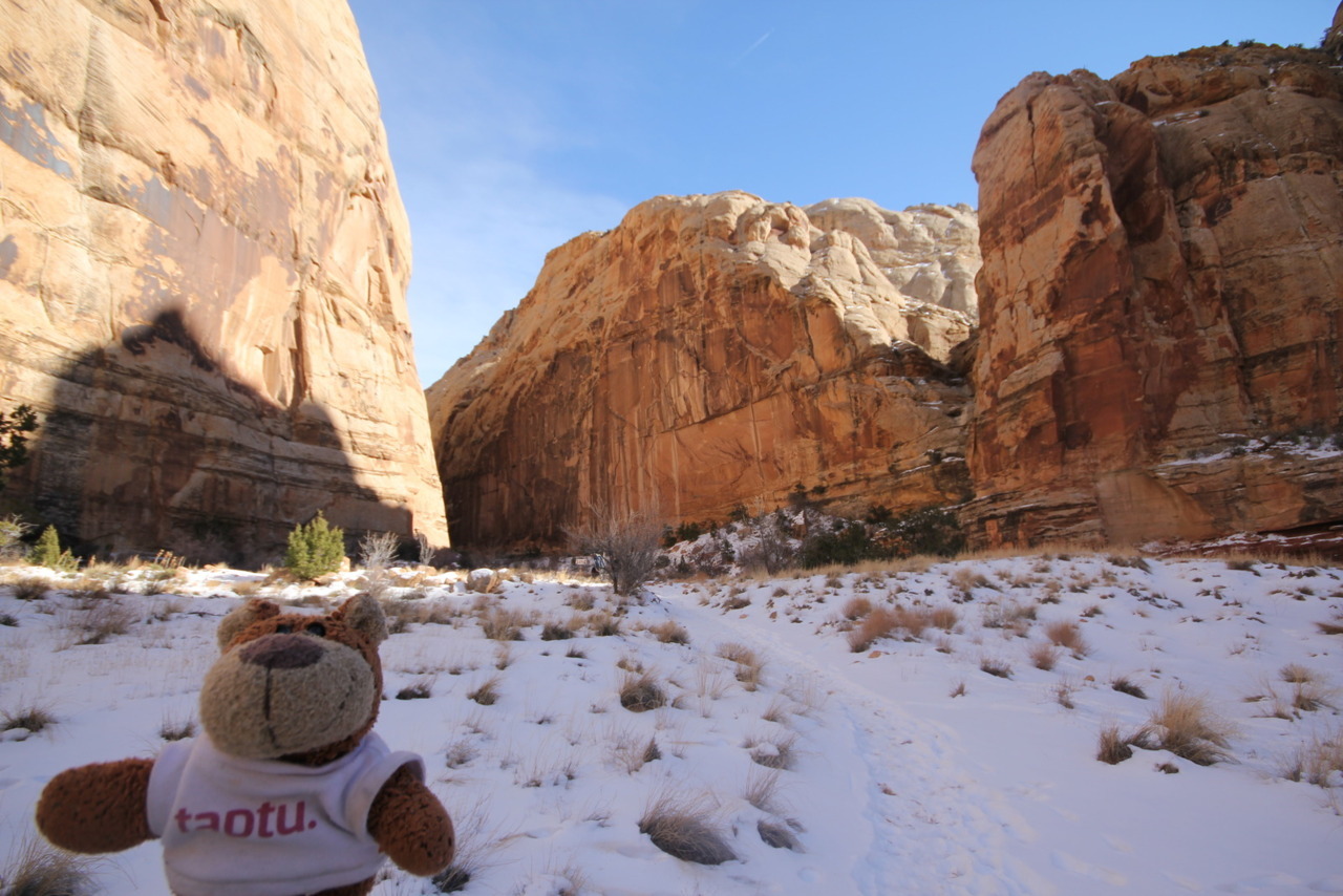 Bearaptu at Capitol Reef National Park