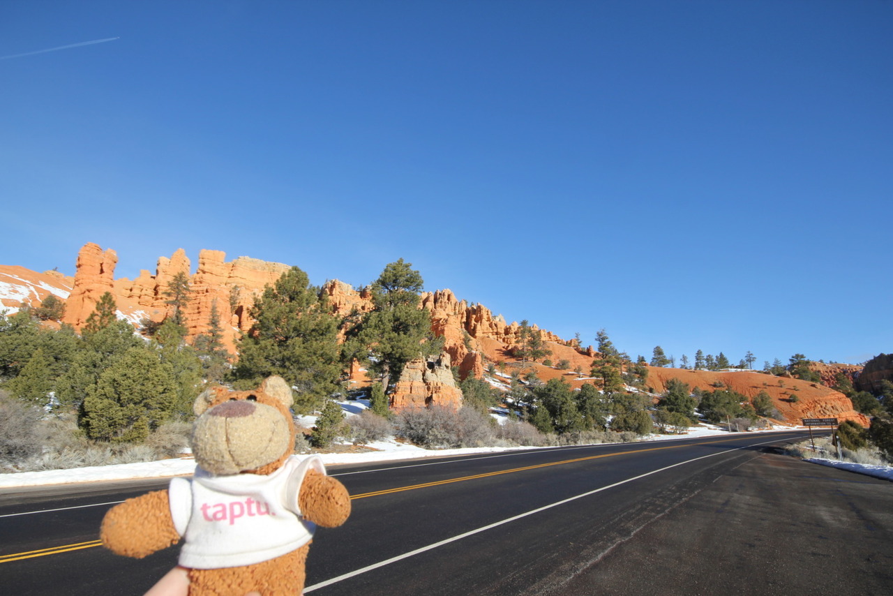 Bearaptu at Red Rock Canyon, which is a canyon in which the rocks are read.