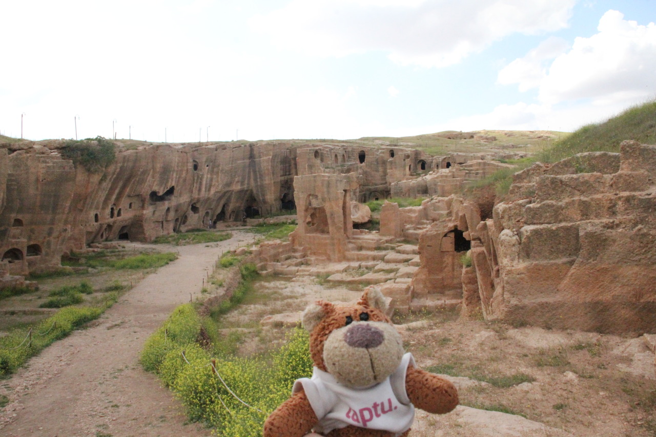 Bearaptu observes the Necropolis at Dara warily, in case any dead people pop out.