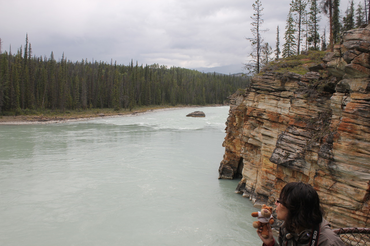 Bearaptu at Athabasca Falls, on the Icefield Parkway between Banff and Jasper. He made quite the impression on Alina.