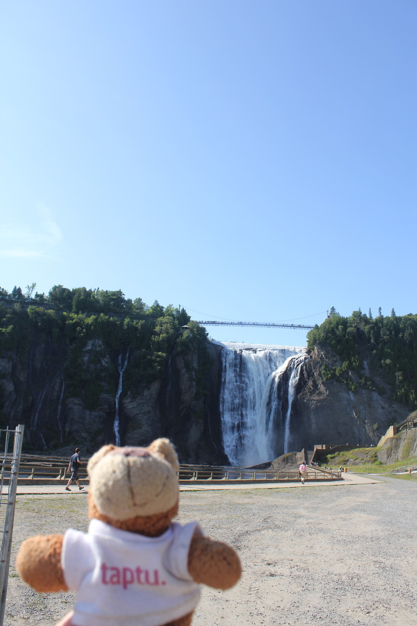 Bearaptu at the Montmorency Falls in Quebec, shortly before he swam up them like an ultimate salmon.