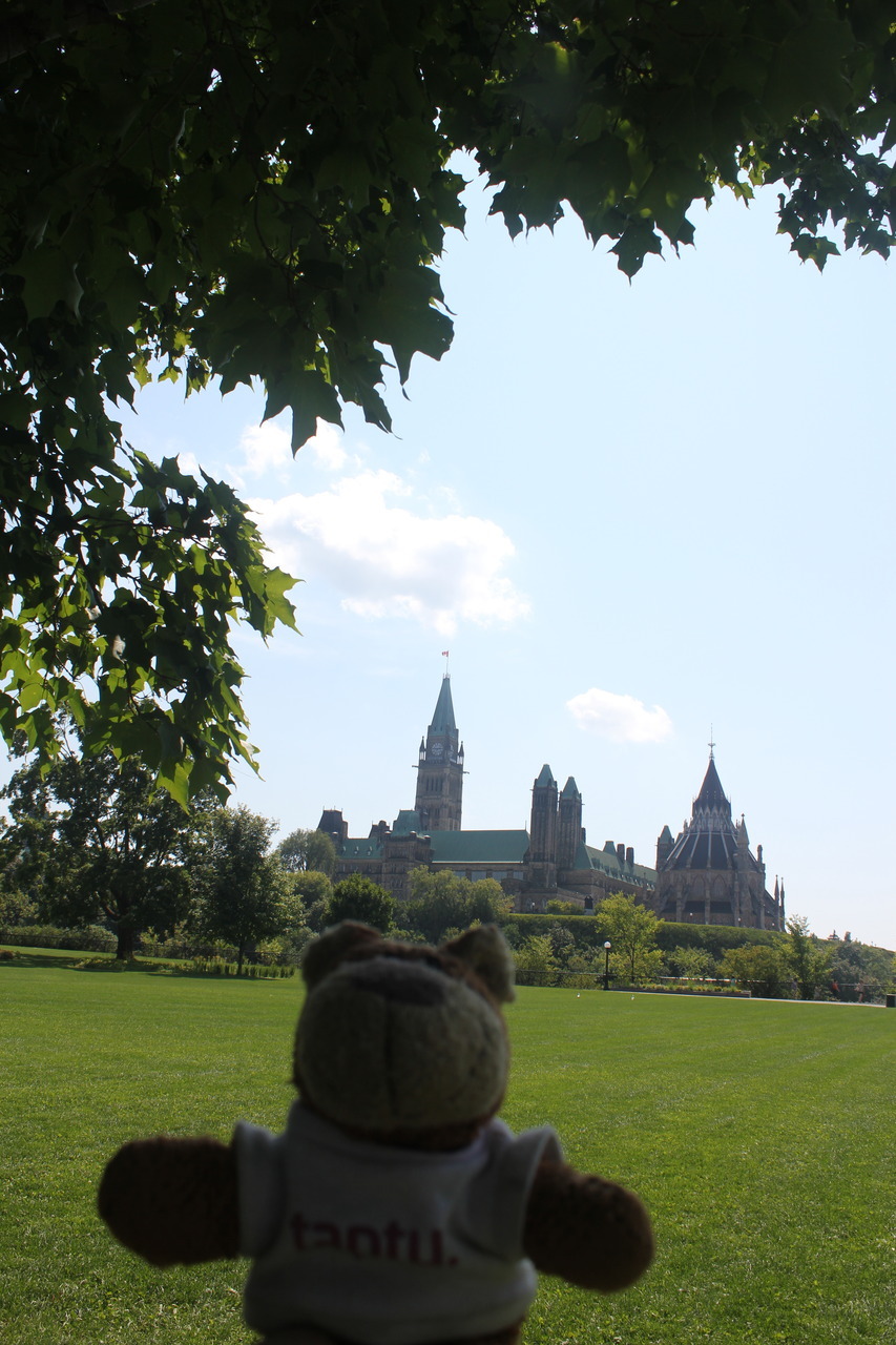 Bearaptu outside the Canadian Parliament in Ottawa. He’s far away because they asked him not to come too close in case he interfered with their government again.