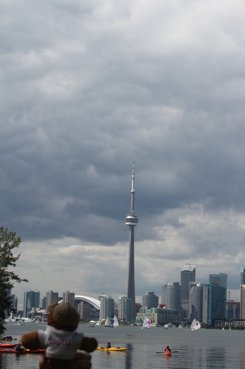 Bearaptu thinks the CN Tower in Toronto is compensating for something