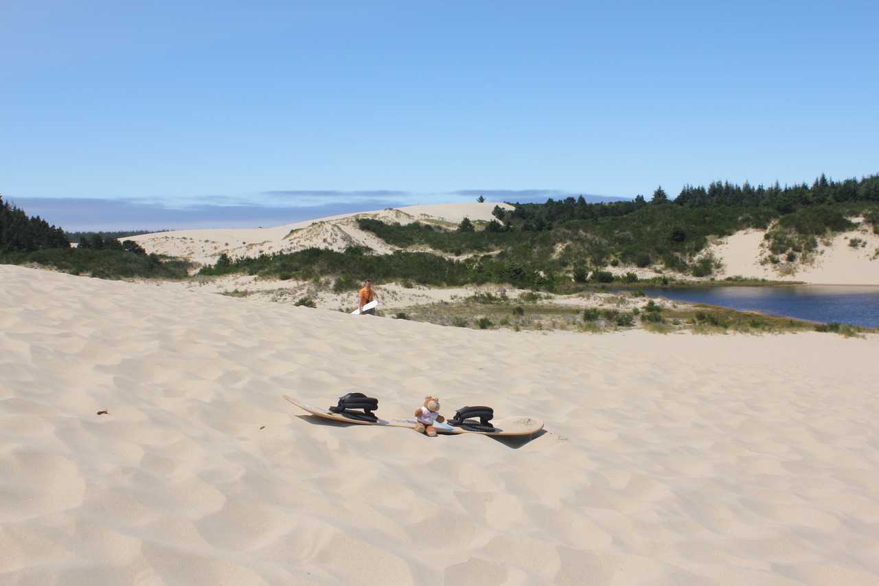 Bearaptu sandboards across the sanddunes near Florence, Oregon