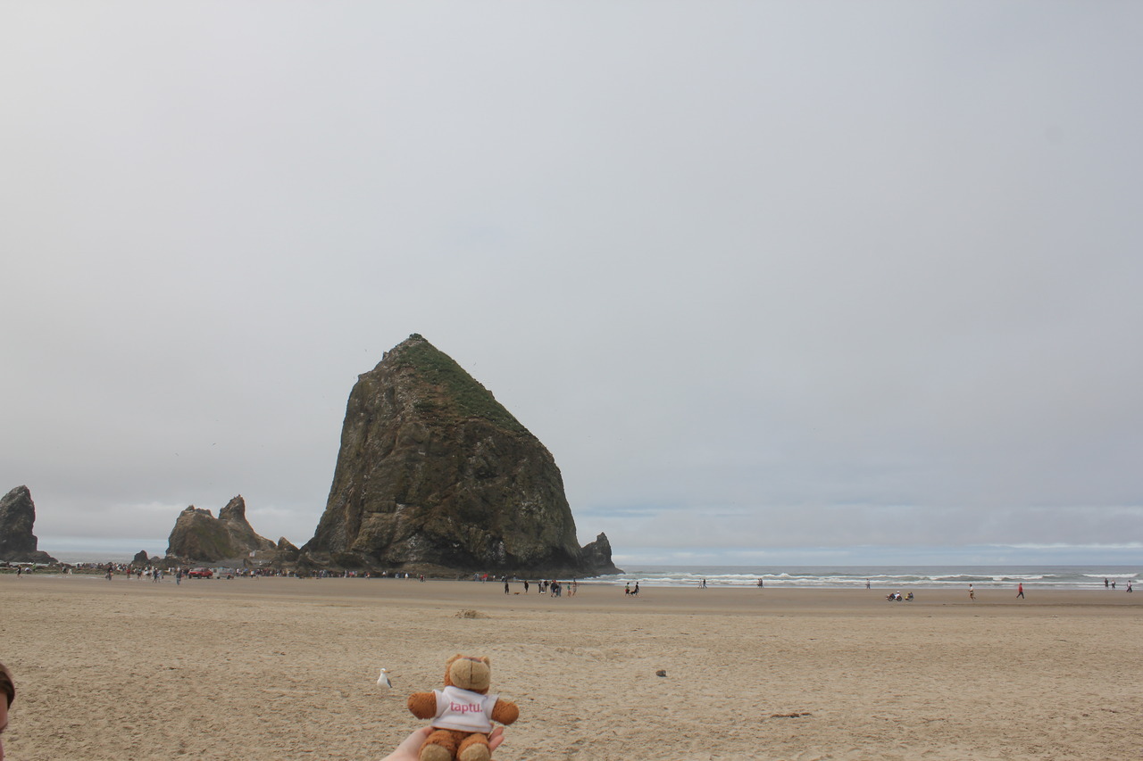 Bearaptu is suspicious of the big rock at Cannon Beach , Oregon