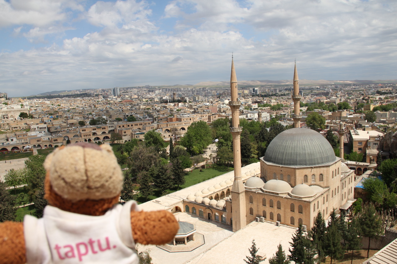 Bearaptu overlooking the mosque in Şanlıurfa , shortly after eating some sacred fish.