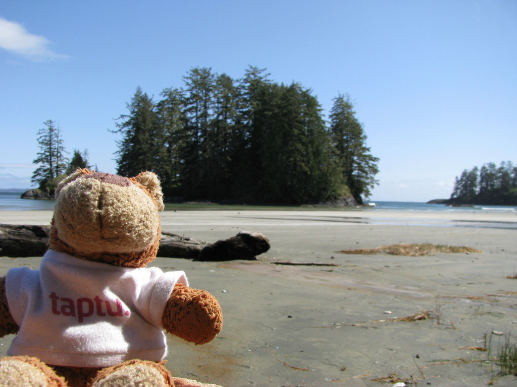 Bearaptu on Long Beach, Vancouver Island Shortly after this picture, Bearaptu conquered the island.