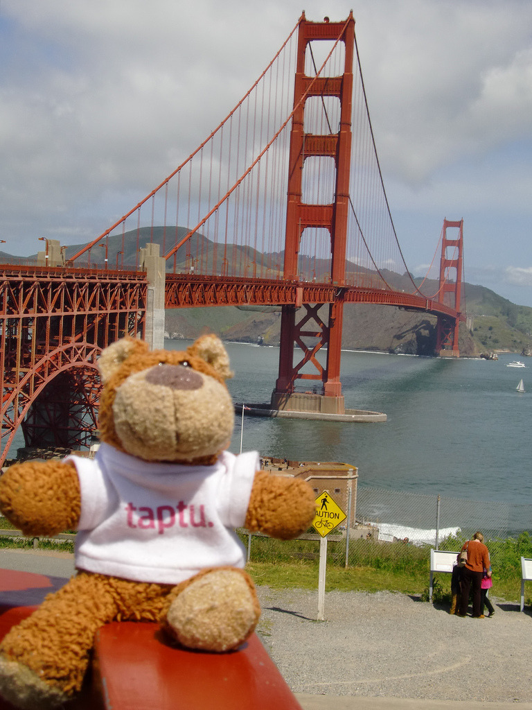 Bearaptu at the Golden Gate bridge With a more casual pose than normal