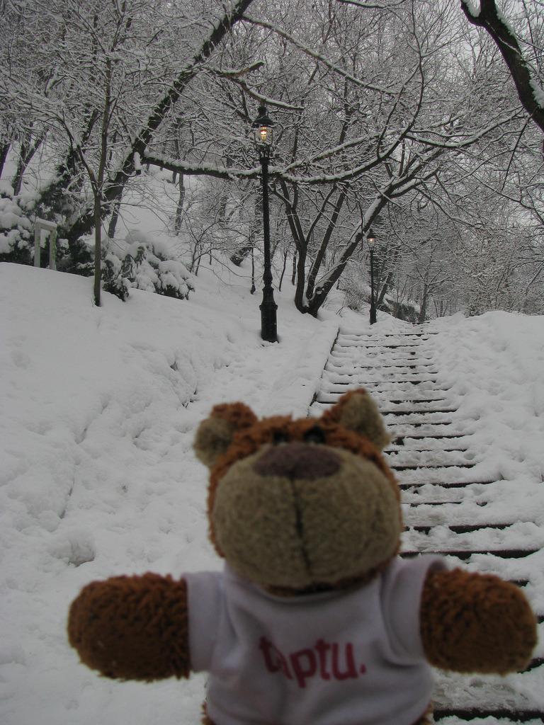 Bearaptu in Narnia Actually this is Budapest, but it’s close enough.
